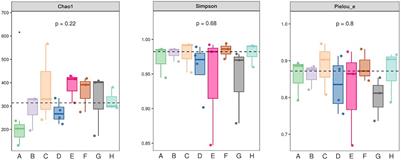 Single Molecule Real-Time Sequencing and Traditional Cultivation Techniques Reveal Complex Community Structures and Regional Variations of Psychrotrophic Bacteria in Raw Milk